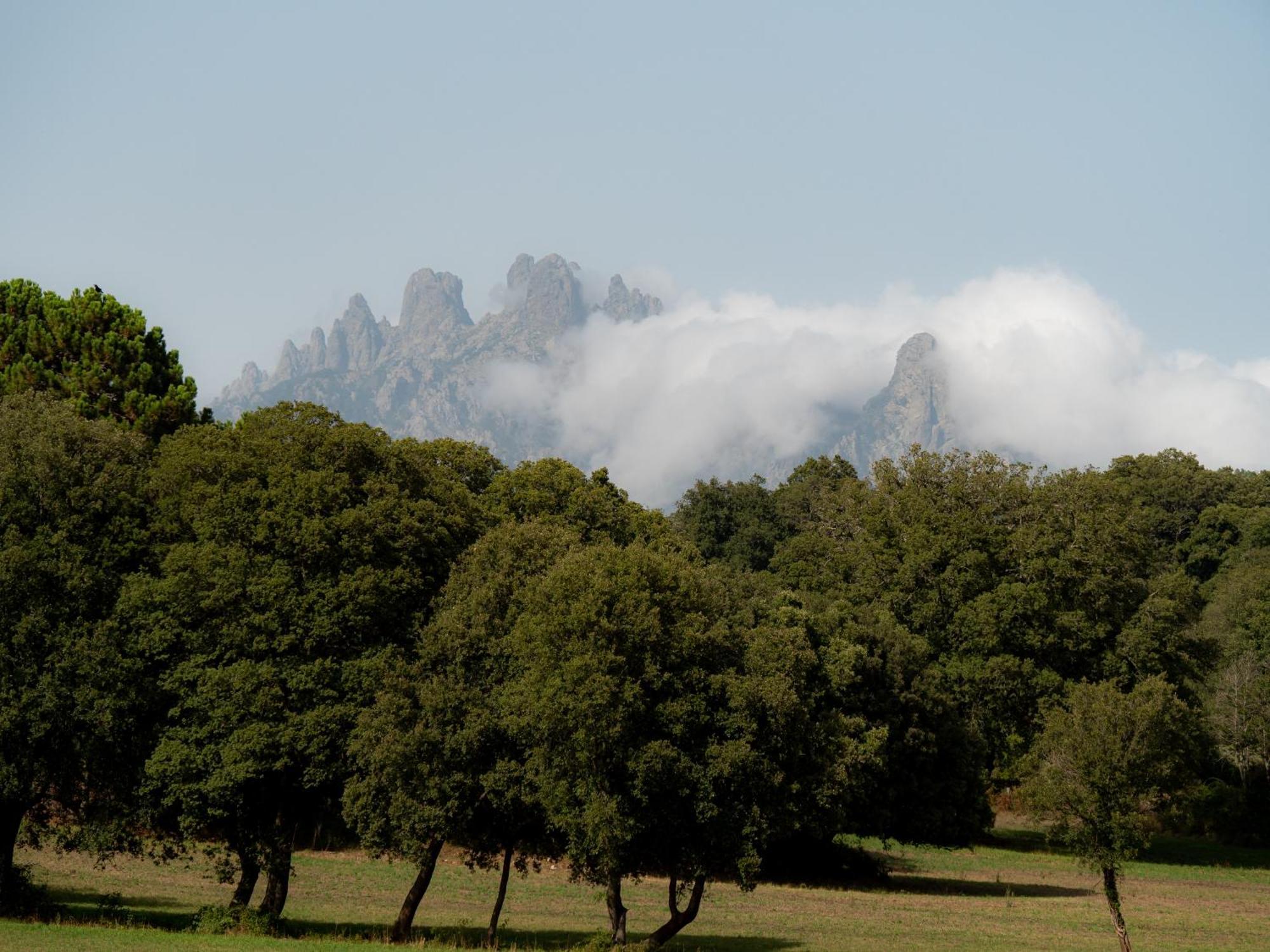 Village Del Mar Solaro ภายนอก รูปภาพ